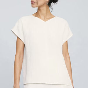 NWT Everlane The City Stripe V-Neck Top in Bone